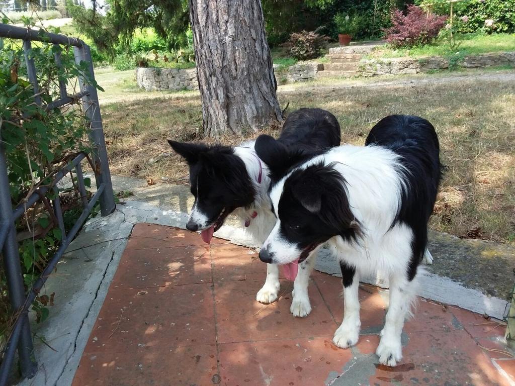 Due Piani Villa Barberino di Val dʼElsa Kültér fotó