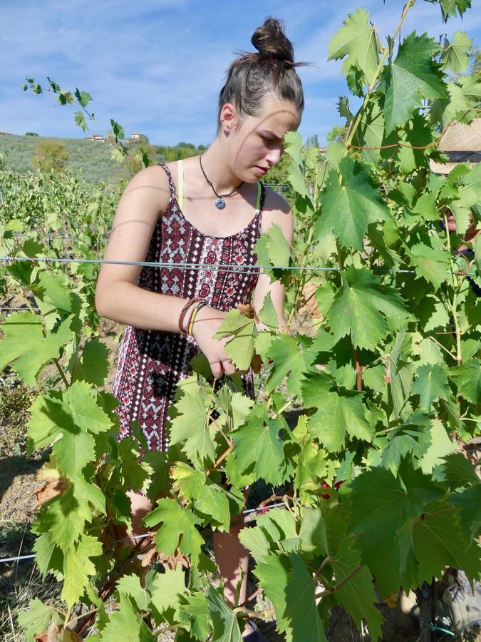 Due Piani Villa Barberino di Val dʼElsa Kültér fotó