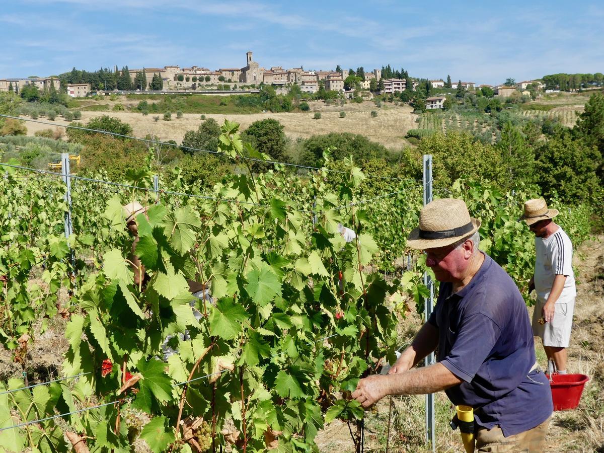 Due Piani Villa Barberino di Val dʼElsa Kültér fotó